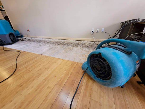 Professional Basement Flood Cleanup technician working in Embarrass, WI